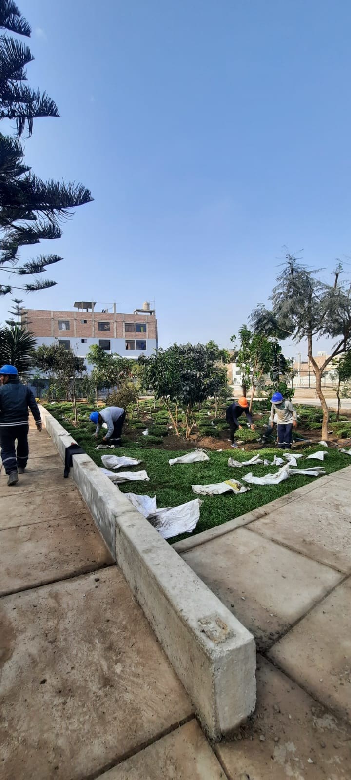 Parque N°02 – Urb. San Roque – foto 29